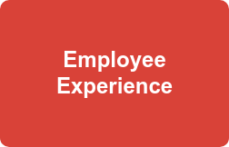    Employee        Experience   